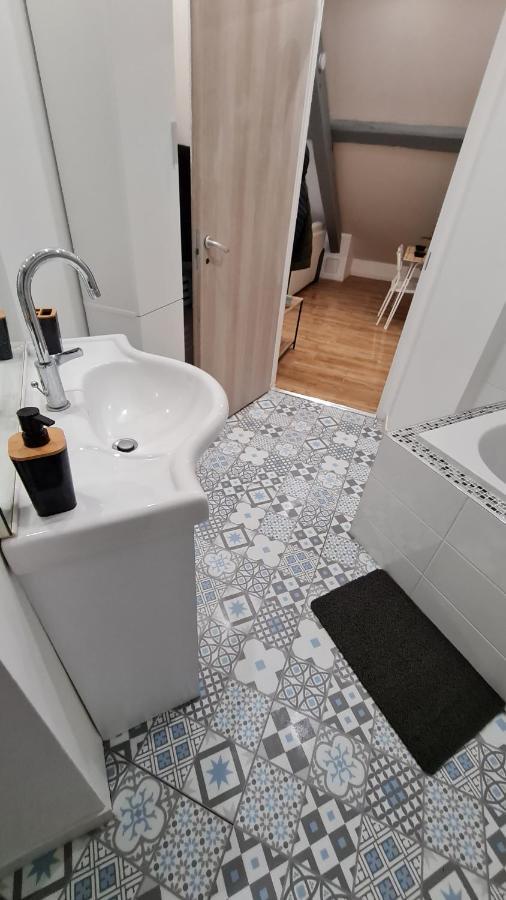 Pont-Saint-Vincent Magnifique Appartement Refait A Neuf المظهر الخارجي الصورة